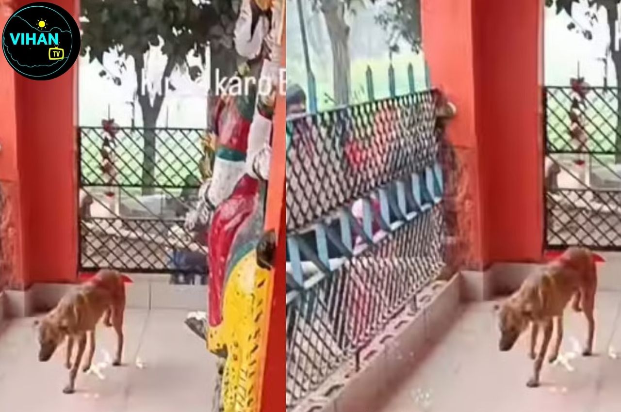 Bijnor Dog Worship Video Viral