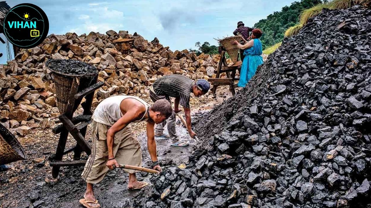 Coal India Share Price Today