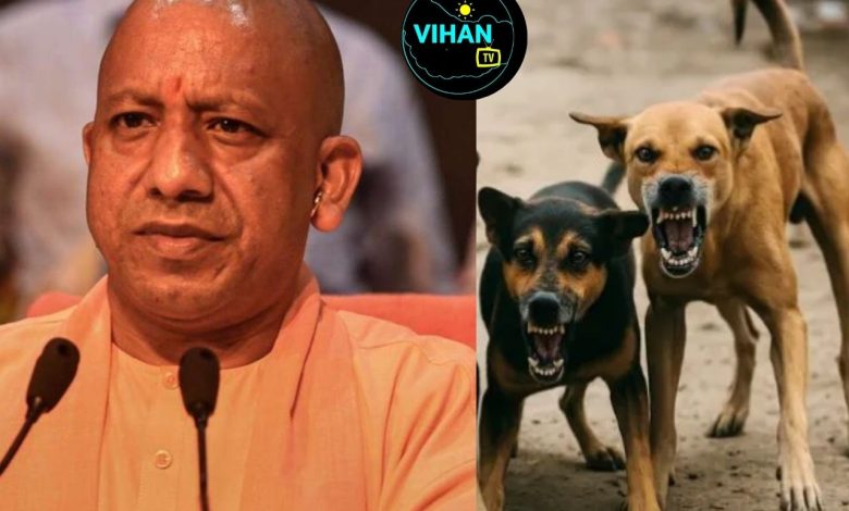 Stray Dog Menace in UP